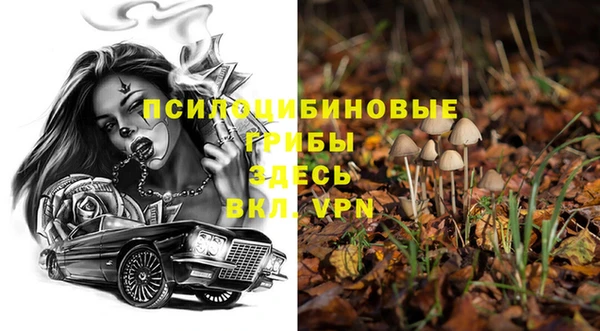 прущий лед Алексеевка