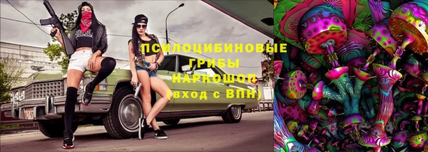 дурь Алексин