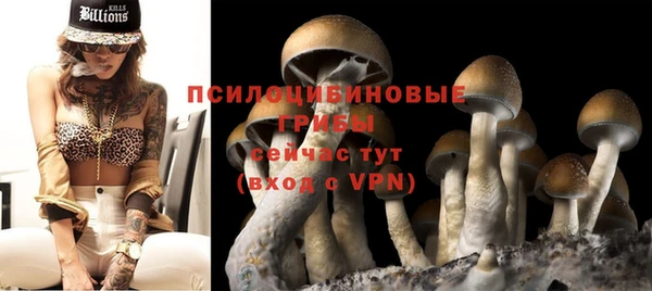 прущий лед Алексеевка